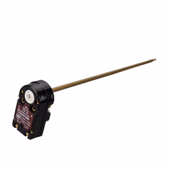 Thermostat de chauffe-eau électrique à immersion, Type poids de tige, thermorégulateur